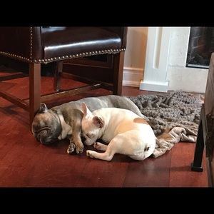 Meet your Posher, Laura